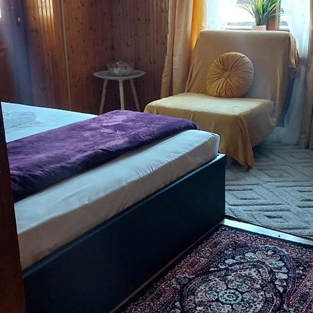 Διαμερισμα Χωρητικοτητασ Μεχρι 4 Ατομων Κεντρικα! Apartment Metsovo Bagian luar foto